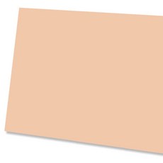 대원우드보드 칼라보드 C-38 연갈색 290 x 440 mm, 5mm, 30개입 문구/오피스/미술/화방용품 반품 최저가 13,760원