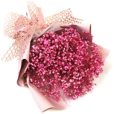 프리저브드 한아름 안개 꽃다발, 핑크 홈인테리어/드라이플라워 반품 최저가 26,410원