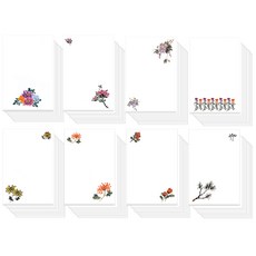 한국의 꽃 캘리그라피 무지엽서 8종 x 20p 세트, 혼합색상, 1세트 완구/취미/수집품 반품 최저가 5,900원