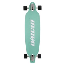 언노운 롱보드, 민트, 1개 스포츠/레저/킥보드/스케이트 반품 최저가 105,860원