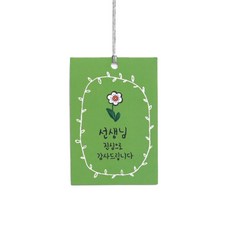 선생님 택, 그린, 100개 문구/오피스/데코/포장용품 반품 최저가 5,390원