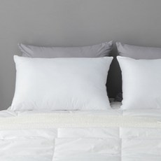 타카타카 슬립온 통째로 빨아쓰는 베개, 화이트, 1개 생활용품/건강액세서리 반품 최저가 10,440원