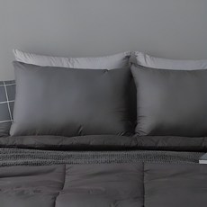 타카타카 슬립온 통째로 빨아쓰는 베개, 다크그레이, 1개 생활용품/건강액세서리 반품 최저가 9,930원