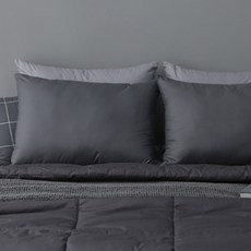 타카타카 슬립온 통째로 빨아쓰는 베개, 다크그레이, 2개 생활용품/건강액세서리 반품 최저가 19,350원