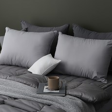 타카타카 슬립온 통째로 빨아쓰는 베개, 그레이, 2개 생활용품/건강액세서리 반품 최저가 23,220원