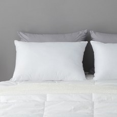 슬립온 통째로 빨아쓰는 베개 2p, 화이트, 2개 생활용품/건강액세서리 반품 최저가 16,710원