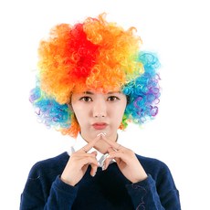 파티쇼 SHOW디스코점보가발 대형, 무지개 문구/오피스/파티/이벤트 반품 최저가 8,280원