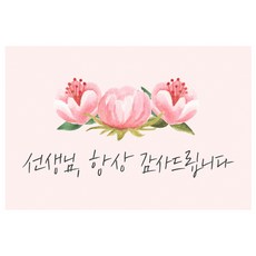 도나앤데코 선생님006 아론 핑크 꽃잎 가로형 사각 스티커 6 x 4 cm, 혼합 색상, 60개 문구/오피스/데코/포장용품 반품 최저가 4,120원