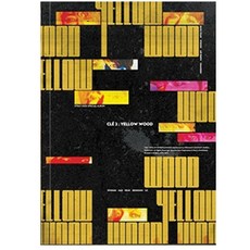 스트레이 키즈 - CLE 2 : YELLOW WOOD 스페셜앨범 일반반 버전 랜덤 발송 도서/음반/DVD/CD/LP 반품 최저가 13,400원