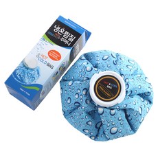 보성메디칼 냉온 찜질주머니 블루 대, 1개 헬스_건강식품/건강/의료용품 반품 최저가 6,740원