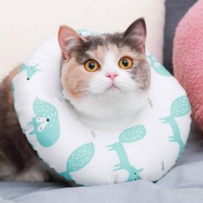 힐링타임 도넛 쿠션 넥카라 아쿠아폭스 M, 1개 생활용품/건강/의료용품 반품 최저가 4,800원