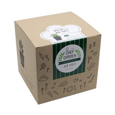 틔움세상 셰프가든 식물 키우기 세트 ver2, 부추 홈인테리어/원예/가드닝 반품 최저가 5,640원