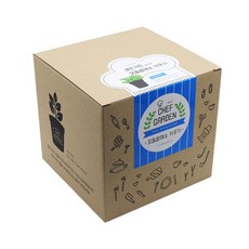 틔움세상 셰프가든 식물 키우기 세트 ver2, 모듬쌈채소 홈인테리어/원예/가드닝 반품 최저가 3,810원