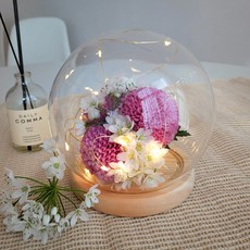 내일의공간 유리돔 무드등 원형 소형, 네츄럴 출산/유아동/수유용품 반품 최저가 5,830원