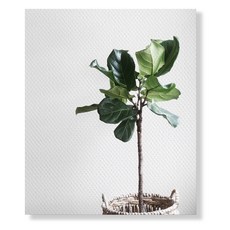 메이코글로벌 홈데코 보태니컬 캔버스 혼자 완구/취미/수집품 반품 최저가 7,310원