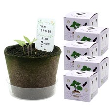 틔움세상 팜팜농장 모종키우기 5p, 가지 홈인테리어/원예/가드닝 반품 최저가 5,520원