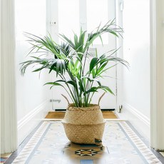 뚱크 다용도 라탄 해초 바구니 5호, 1개 홈인테리어/수납/정리 반품 최저가 8,760원