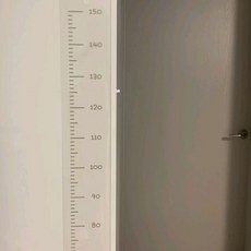 프랑프랑 키재기자, 투명회색 출산/유아동/유아가구/인테리어 반품 최저가 7,520원