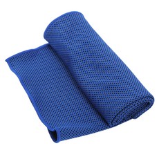 루나폴리 매직얼음 쿨 스포츠 타월, 블루, 1개 스포츠/레저/기타스포츠 반품 최저가 5,790원