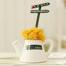 아스파시아 프레쉬에어 스칸디아모스 화분 머스터드엘로우 축하합니다, 1개 홈인테리어/식물/나무 반품 최저가 6,400원