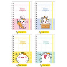 아이비스 에비츄PP밴드스케줄플래너 EB10909 8p, 랜덤 발송, 1세트 문구/오피스/다이어리/플래너 반품 최저가 8,050원