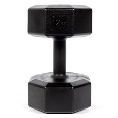 반석스포츠 K아령, 12kg, 1개 헬스/건강식품/헬스/요가용품 반품 최저가 21,510원