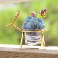 아스파시아 앤티크 순록 스칸디아모스 화분 라벤더블루 + Thank you 엽서, 1세트 홈인테리어/식물/나무 반품 최저가 6,190원