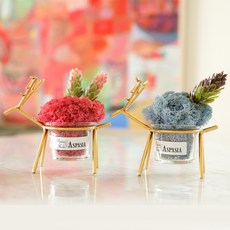 아스파시아 커플순록 스칸디아모스 화분 씨클라멘 + 라벤더블루 + Thank you 엽서, 1세트 홈인테리어/식물/나무 반품 최저가 4,880원