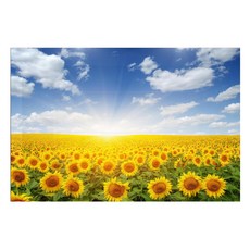 코나 해바라기가든 주방아트보드, 1개 주방용품/주방잡화 반품 최저가 39,310원