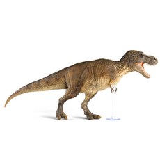 리보 GNG 티라노사우루스 렉스 타입 A 다이캐스트, 혼합색상 완구/취미/피규어/다이캐스트 반품 최저가 25,160원