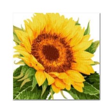 아디코 DIY 보석십자수 당신을 바라봄 25 x 25 cm BE01, 혼합색상, 1개 문구/오피스/미술/화방용품 반품 최저가 6,030원