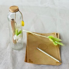 러블리팜 타임캡슐 유리병 프리저브드 믹스 플라워 손편지 LED조명 + 선물박스 세트, 스프링그린(플라워), 화이트(선물박스) 홈인테리어/드라이플라워 반품 최저가 13,670원