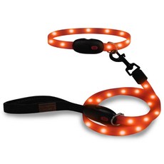 딩동펫 반려 동물 LED 플래시 목줄 + 리드줄 세트 M, 레드, 1개 반려동물용품/펫티켓 산책용품 반품 최저가 10,550원