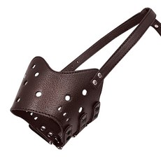 모던 강아지 입마개 S, 브라운, 1개 반려동물용품/펫티켓 산책용품 반품 최저가 4,080원