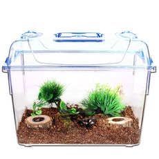 사필풍 클린 특대형 유목수초 장수풍뎅이 사육세트, 1세트 반려동물용품/소동물/가축용품 반품 최저가 33,900원