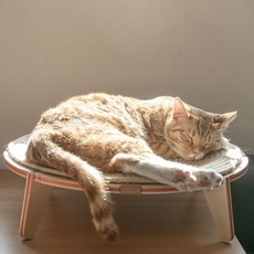 우디스팩토리 냥이마루 고양이 스크래칭해먹, 혼합 색상, 1개 반려동물용품/고양이 용품 반품 최저가 33,800원