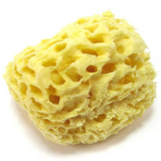 범양산업 오션 천연 해면 허니컴 대, 노랑, 1개 뷰티/뷰티소품 반품 최저가 8,110원