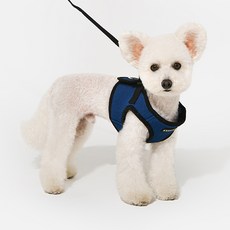 퍼피아 강아지 소프트 베스트 하네스 AH305 B스타일, 로얄블루, 1개 반려동물용품/펫티켓 산책용품 반품 최저가 4,380원