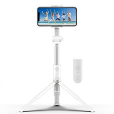 디지지 블루투스 셀카봉 삼각대 3세대 화이트, DSS-WT700(화이트), 1개 가전디지털/휴대폰 액세서리 반품 최저가 19,210원