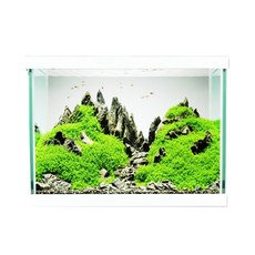 모비딕 모던 어항 A300 + 뚜껑, 화이트, 1개 반려동물용품/관상어 용품 반품 최저가 21,580원