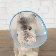 DM 알럽펫 반려동물 상처 방지 투명 토트 커버 블루 M, 150g, 1개 반려동물용품/강아지 용품 반품 최저가 5,430원