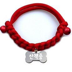 펫츠룩 데일리 목걸이 + 뼈다귀 펜던트 산책중, 목걸이(레드), 펜던트(실버), 1개 반려동물용품/펫티켓 산책용품 반품 최저가 4,320원