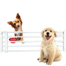 엠지 선반 울타리 초소형견용, 혼합색상, 1세트 반려동물용품/강아지 용품 반품 최저가 11,340원