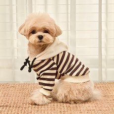 쁘띠도그 반려견 단가라 후드티, 원컬러, 1개 undefined/undefined 반품 최저가 3,940원