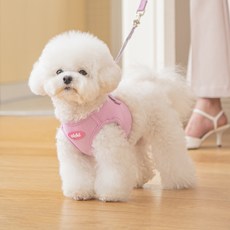 올치 마카롱 하네스, PINK, 1개 undefined/undefined 반품 최저가 11,250원