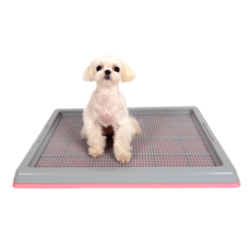 딩동펫 반려동물 와이드 배변판, 핑크, 1개 반려동물용품/강아지 용품 반품 최저가 17,010원