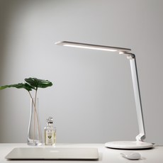 듀플렉스 LED 데스크 스탠드 DP-910LS, 혼합색상 가전디지털/생활가전 반품 최저가 24,090원