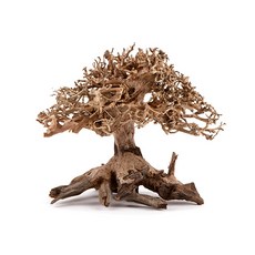 모스트리 분재 유목 수조장식 M220, 1개 반려동물용품/관상어 용품 반품 최저가 24,370원