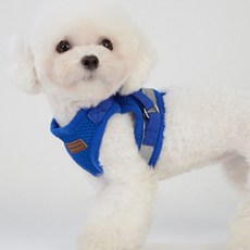 미즈펫 야간 빛 반사 세이프 강아지 하네스 + 리드줄, 블루, 1개 undefined/undefined 반품 최저가 10,140원