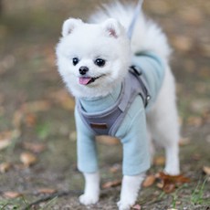 미즈펫 야간 빛 반사 세이프 강아지 하네스 + 리드줄, 그레이, 1개 반려동물용품/강아지 용품 반품 최저가 9,730원